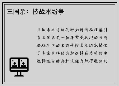 三国杀:技战术纷争